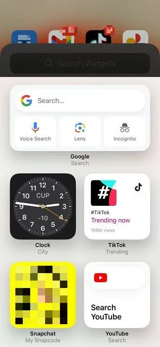 Opciones de widgets en el dispositivo iOS.