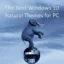 PC 用の最高の Windows 10 ナチュラル テーマ