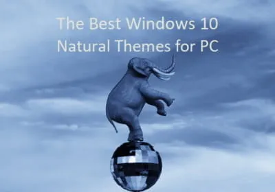 Les meilleurs thèmes naturels Windows 10 pour PC