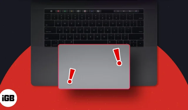 Trackpad not working on MacBook? 15 Effective ways to fix it!