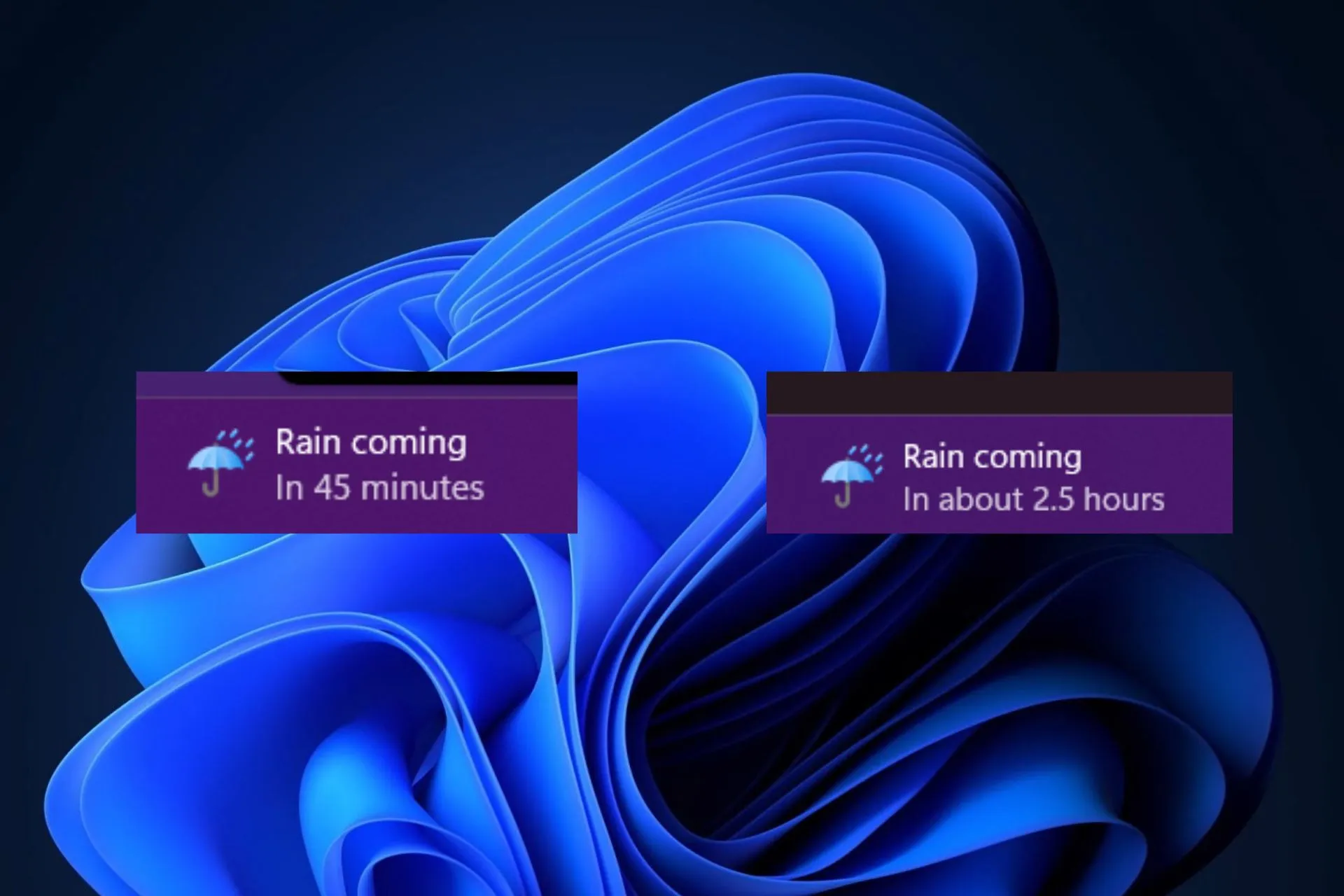 Detaillierte Wettervorhersage für Windows 11
