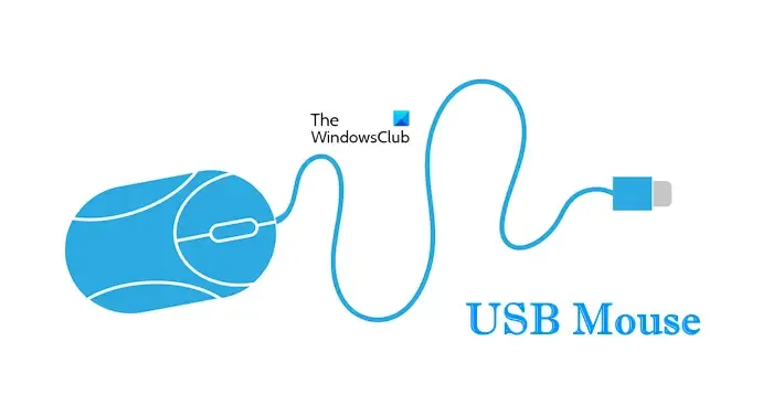 USB-Maus