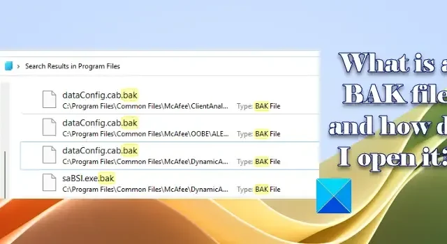 BAK ファイルとは何ですか? Windows で開くにはどうすればよいですか?