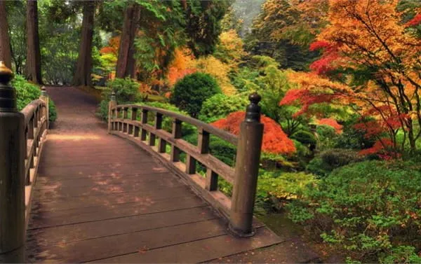 秋の橋
