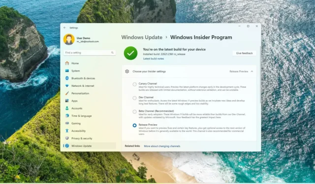 Versions de Windows 11 23H2 (build 22631) dans Release Preview Channel