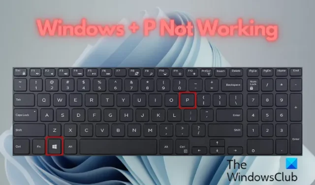 Windows + P werkt niet in Windows 11/10 [repareren]