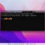 Windows Terminal 1.19 mit Websuche, Broadcast und Emoji-Unterstützung