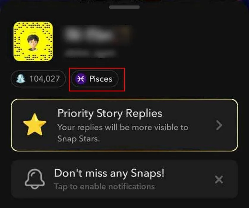 Visualizzazione del segno zodiacale Pesci su Snapchat nel menu utente.