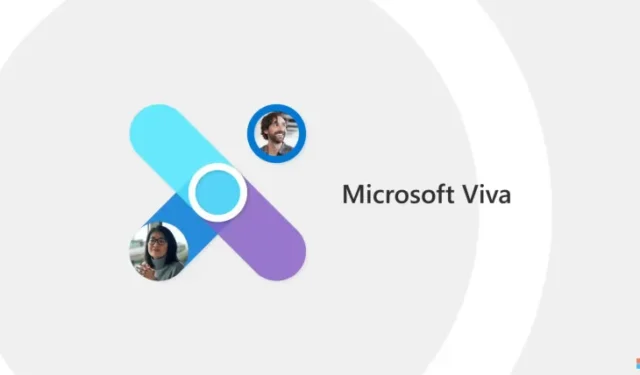 Microsoft voegt de AI-aangedreven vaardighedenfunctie toe aan Viva voor nauwkeurige informatie over werknemers