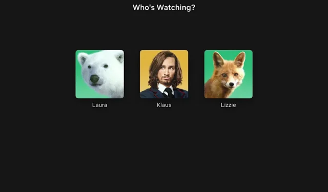 So fügen Sie ein benutzerdefiniertes Profilbild für Netflix hinzu
