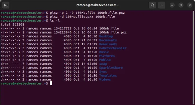 Ein Terminal, das pixz beim Komprimieren und Dekomprimieren einer Datei zeigt.