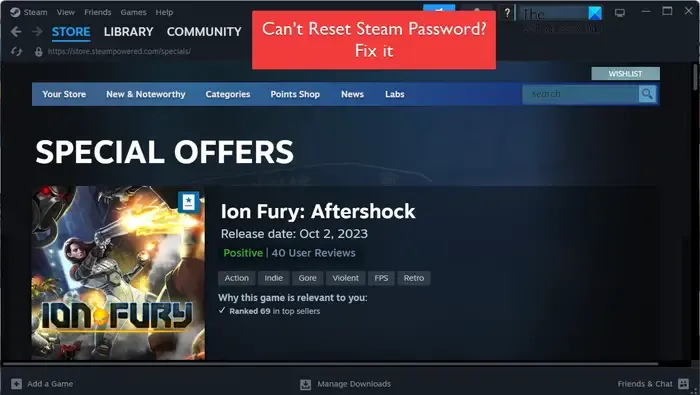 Steam-Passwort kann nicht zurückgesetzt werden
