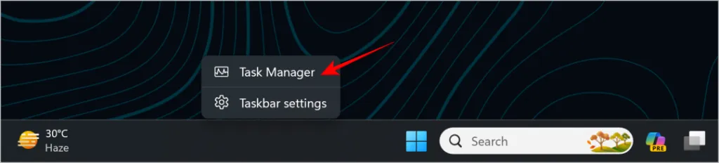 Task-Manager-Option