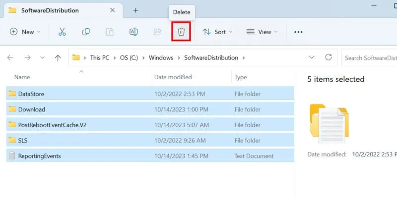 Usuwanie pamięci podręcznej z folderu SystemDistribution w systemie Windows