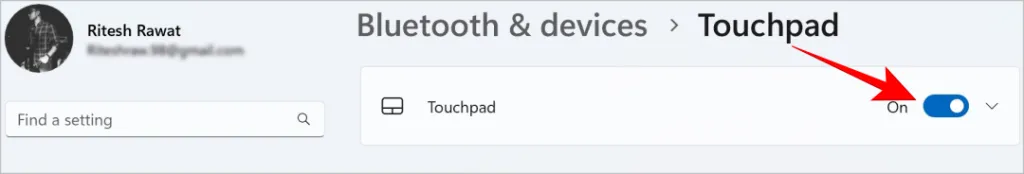 Attiva/disattiva per disattivare il touchpad