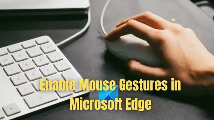 Microsoft Edge에서 마우스 제스처 활성화