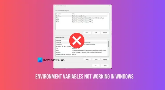 Umgebungsvariablen funktionieren unter Windows 11 nicht
