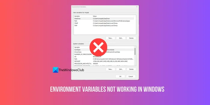 Umgebungsvariablen funktionieren unter Windows nicht