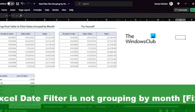 Excel の日付フィルターが月ごとにグループ化されない [修正]