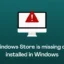 Fix: Windows Store fehlt oder ist in Windows 11/10 nicht installiert