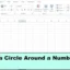 如何在Excel中的數字周圍添加一個圓圈