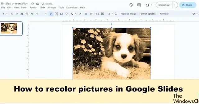 Comment recolorer des images dans Google Slides