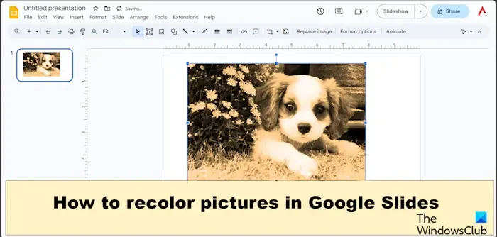 Como recolorir imagens no Apresentações Google