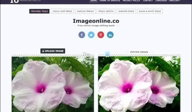 A melhor ferramenta online gratuita de localização de tamanho de imagem para encontrar o tamanho da imagem enviando a imagem