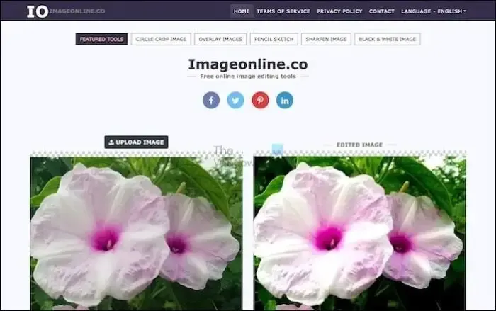 A melhor ferramenta online gratuita para localizar tamanho de imagem