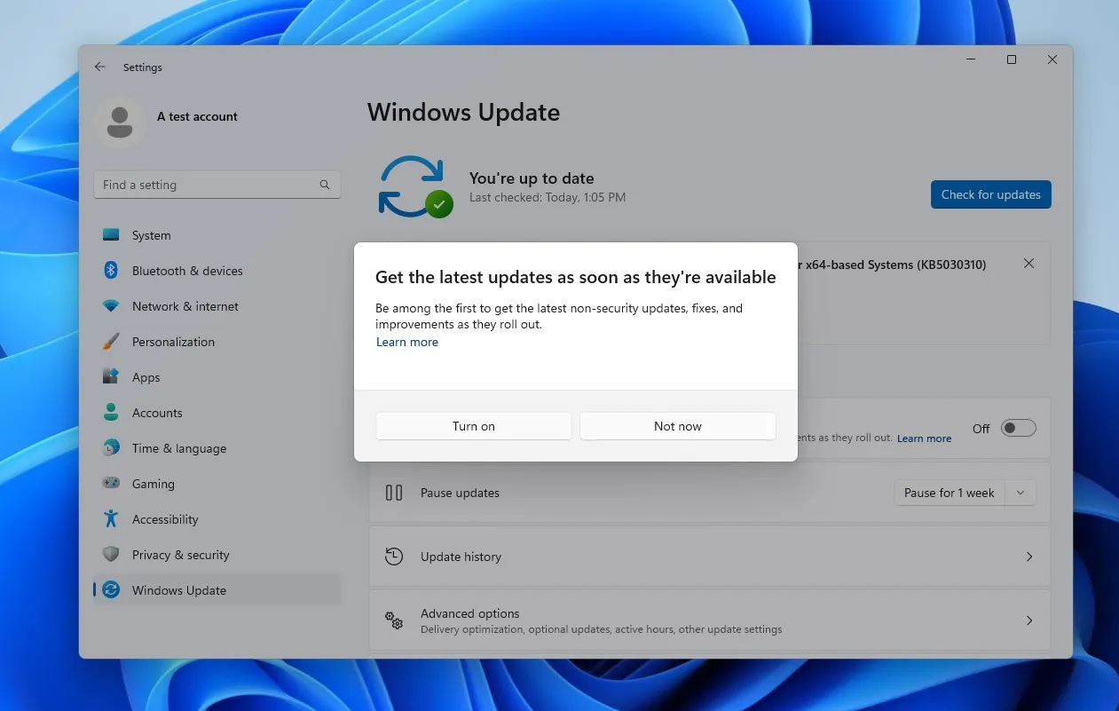 Instale la actualización de Windows 11 Momento 4