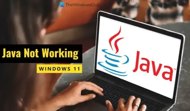 Java non funziona in Windows 11 [fissare]