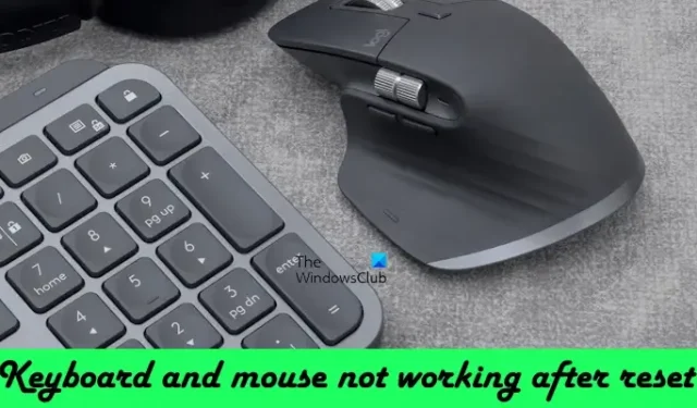 Toetsenbord en muis werken niet na reset in Windows 11/10