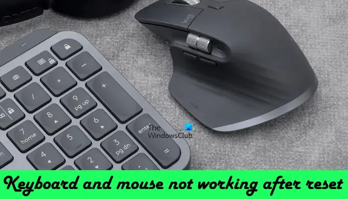 El mouse del teclado no funciona después del reinicio
