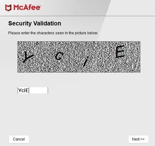 Eingabe von Zeichen als Sicherheitsvalidierung im MCPR-Tool.