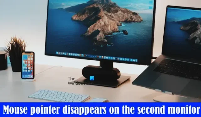 De muisaanwijzer verdwijnt op de tweede monitor op Windows 11/10