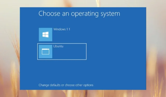 Windows 11의 이중 부팅에서 Ubuntu를 제거하는 방법