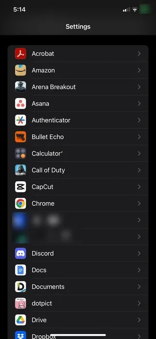 A lista de aplicativos de terceiros instalados em um iPhone