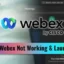 Cisco Webex werkt of start niet op Windows 11