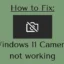 Come risolvere il problema con la webcam o la fotocamera che non funziona su Windows 11