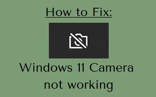 Cómo arreglar la cámara web o la cámara que no funciona en Windows 11