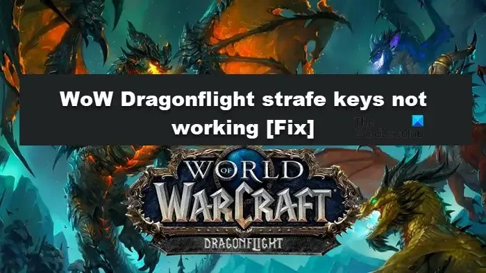 WoW Dragonflight strafe-toetsen werken niet [repareren]