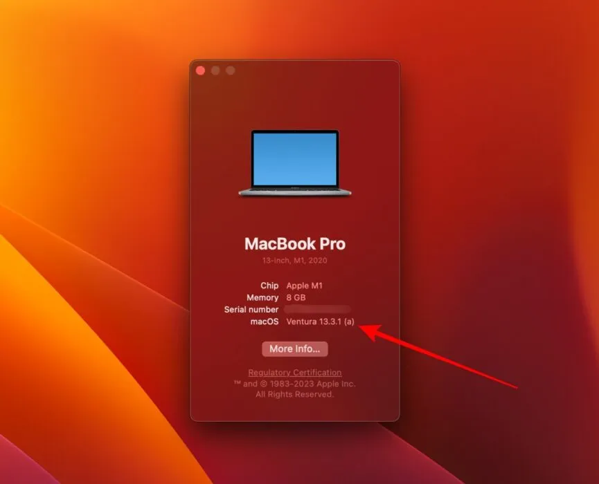 macOS の「詳細情報」ボタン
