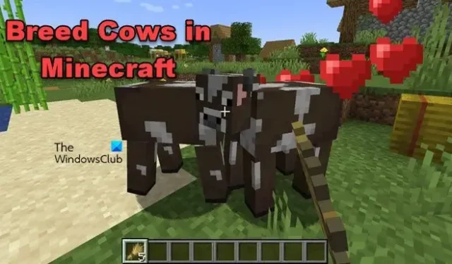 Minecraft で牛を繁殖させる方法