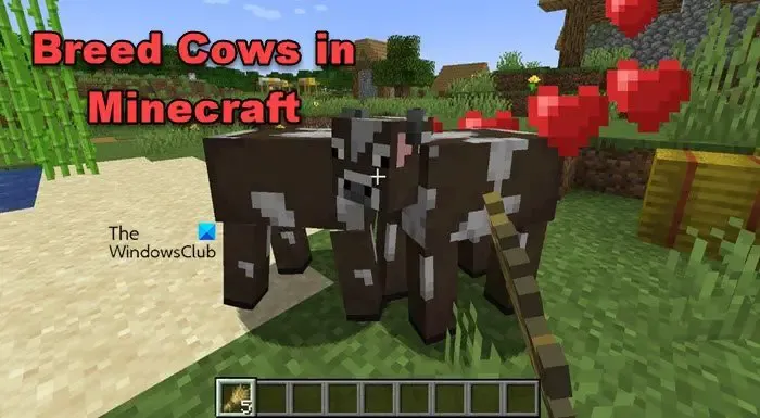 Fok koeien in Minecraft