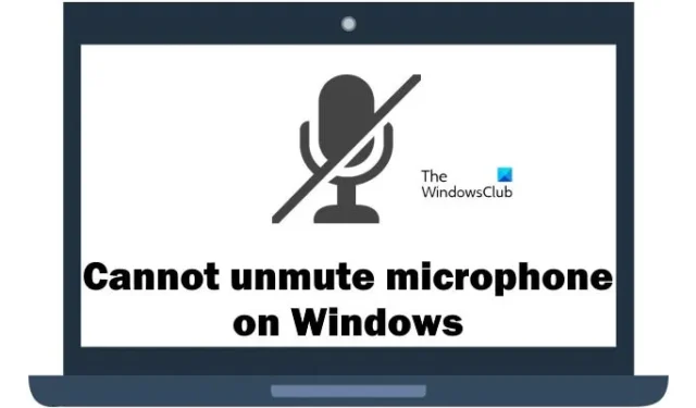 Die Stummschaltung des Mikrofons kann unter Windows 11/10 nicht aufgehoben werden