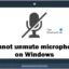 Impossible de réactiver le microphone sous Windows 11/10