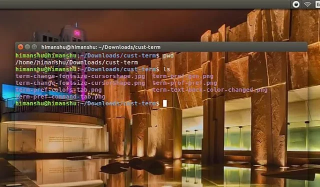 Como personalizar o terminal Linux