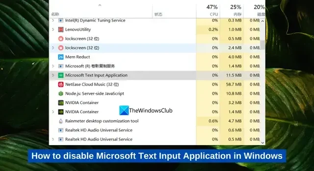 Come disabilitare l’applicazione Microsoft Text Input in Windows 11/10