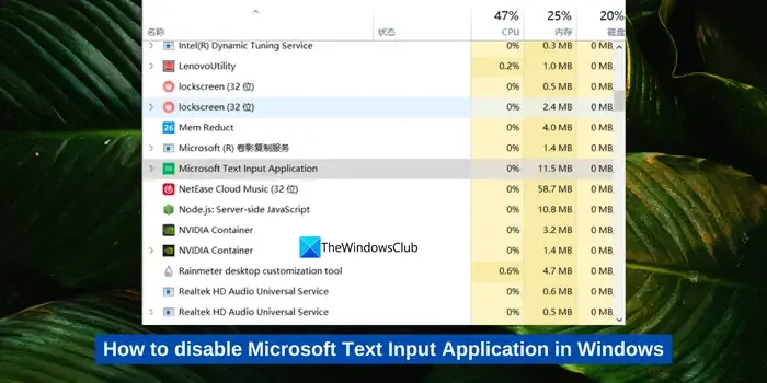 disabilitare l'applicazione Microsoft Text Input in Windows