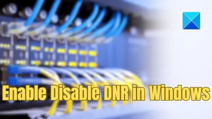 Habilitar Deshabilitar DNR en Windows